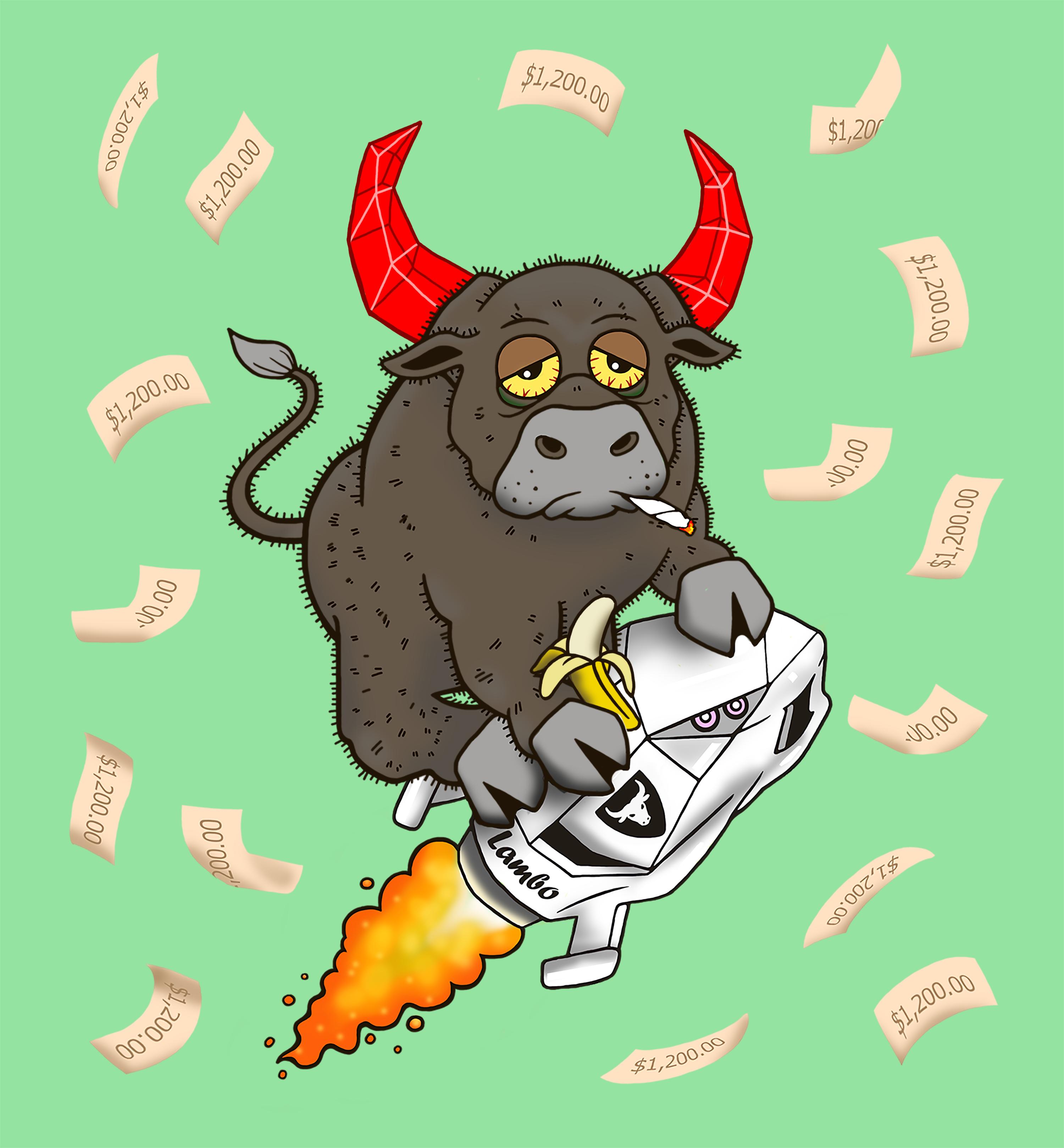 Bull #2497
